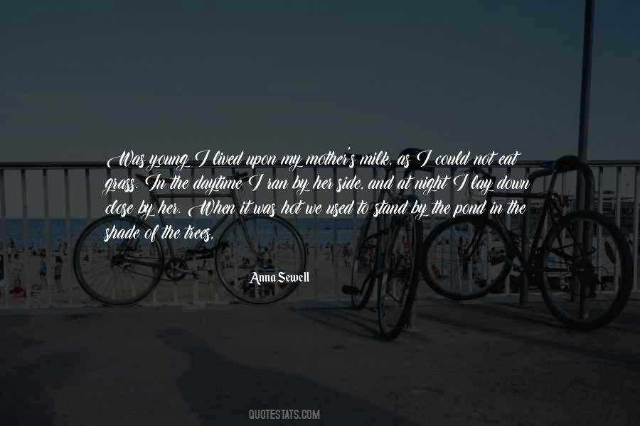 Hot Night Quotes #1341543