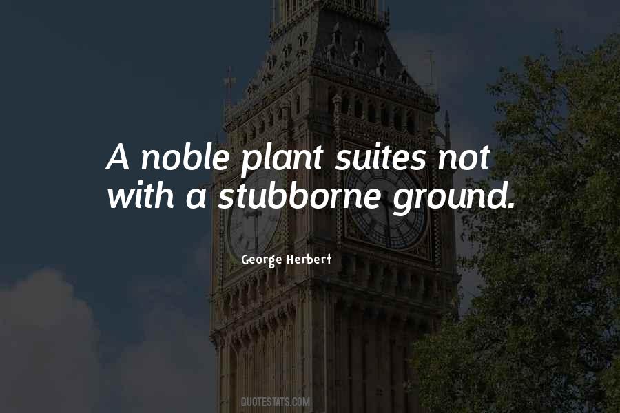 Plant Yourself Quotes #130219