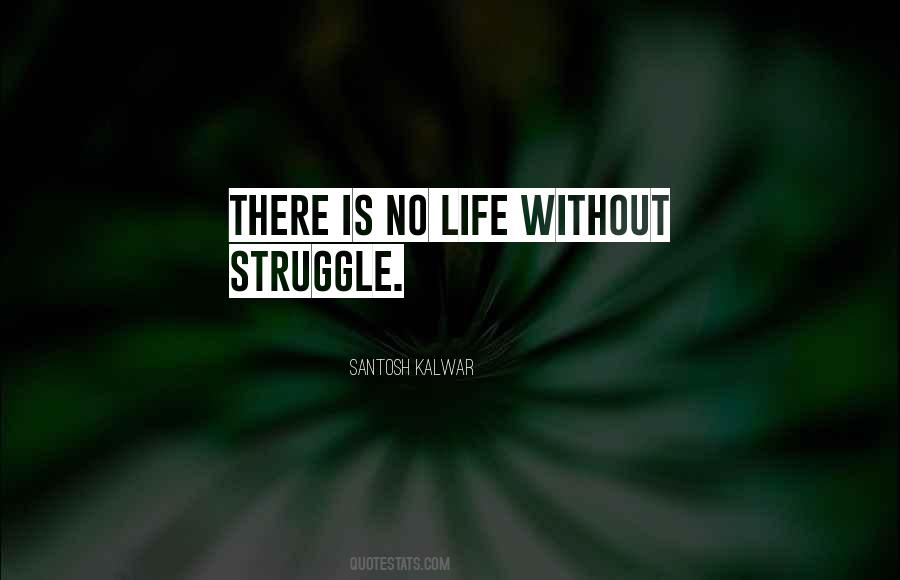 Life Without Struggle Quotes #773493