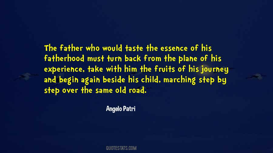 Father Step-son Quotes #1400781