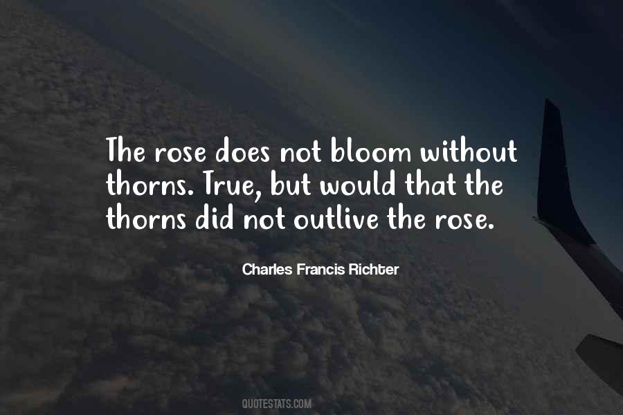 Rose In Bloom Quotes #1354490