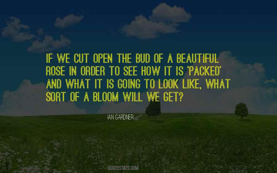 Rose In Bloom Quotes #136045