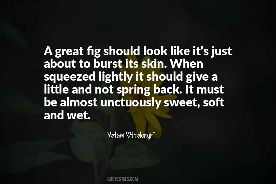 Soft Look Quotes #1818490