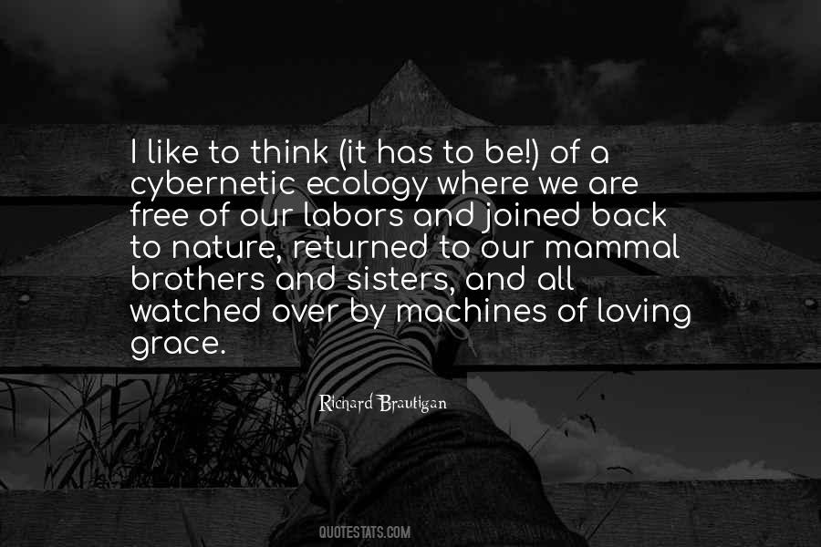 We Are All Brothers Quotes #194241