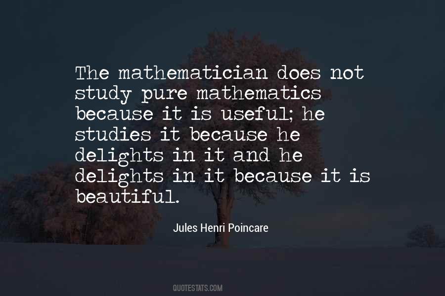 Beautiful Mathematics Quotes #361592