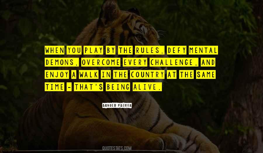 You Play By The Rules Quotes #884022