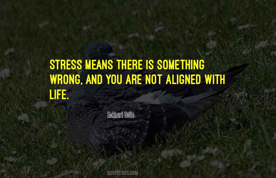 There Is Something Wrong Quotes #1255784
