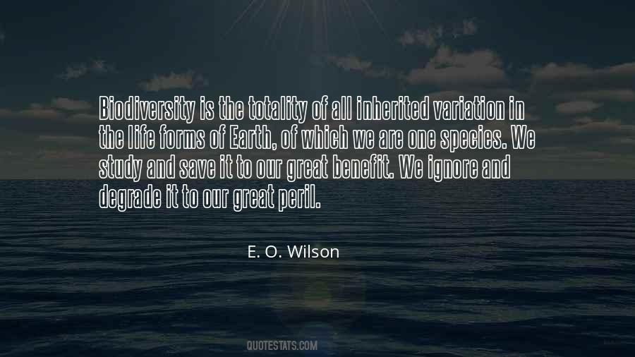 Study Of Life Quotes #224087