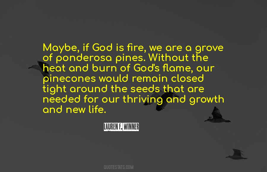 Seeds Of Life Quotes #1781886