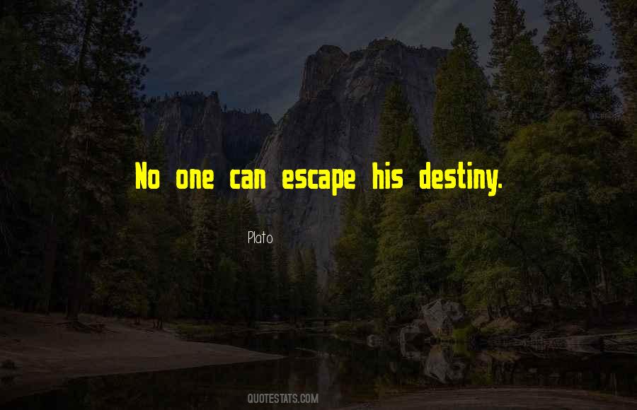 You Cannot Escape Your Destiny Quotes #622804
