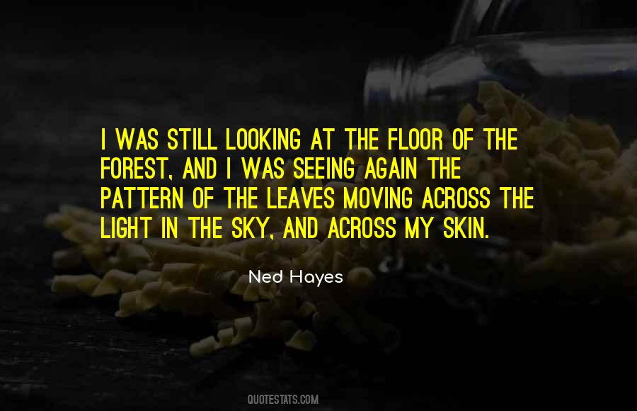 Seeing The Sky Quotes #1423895