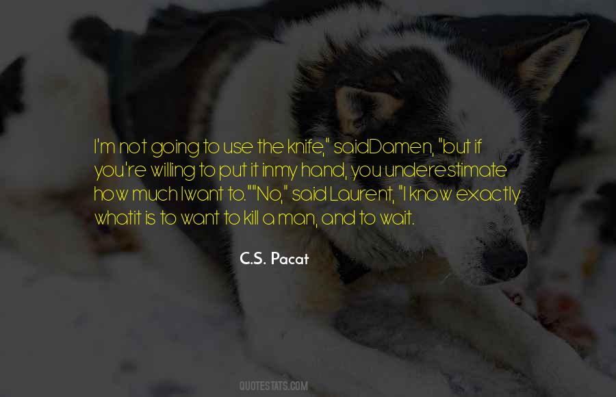 I M Not What You Want Quotes #289465