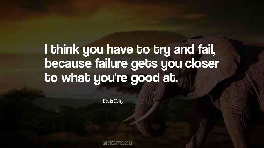 You Try You Fail Quotes #554205