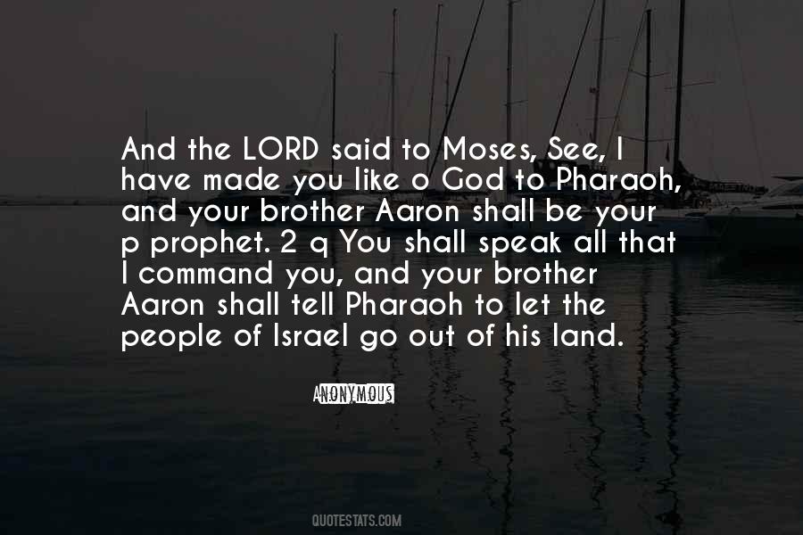 Prophet In His Own Land Quotes #332617