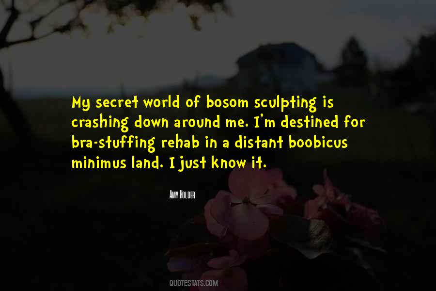 Secret World Quotes #677967