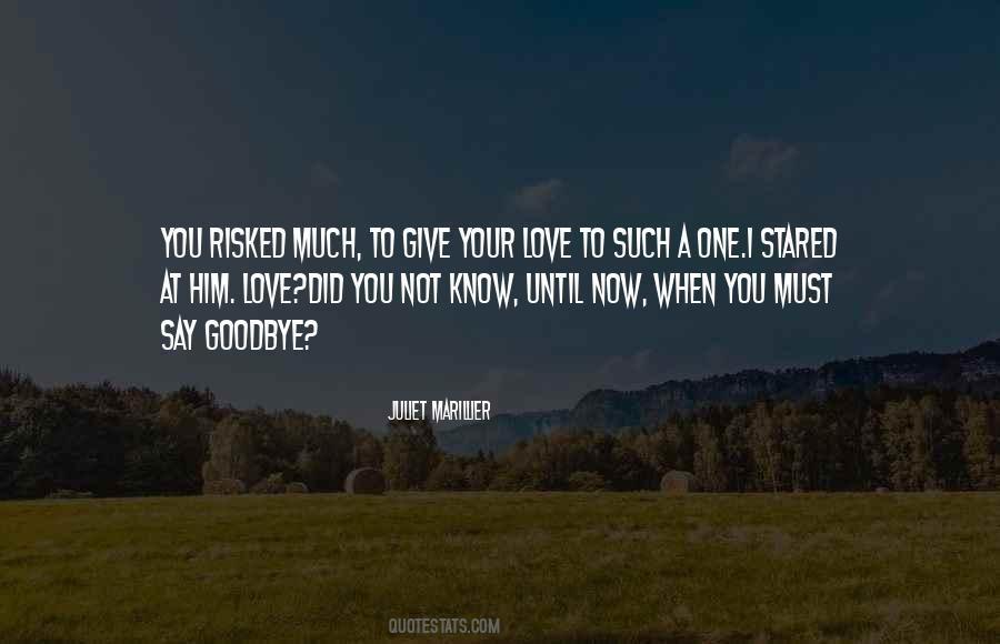 Not Goodbye Quotes #1110074