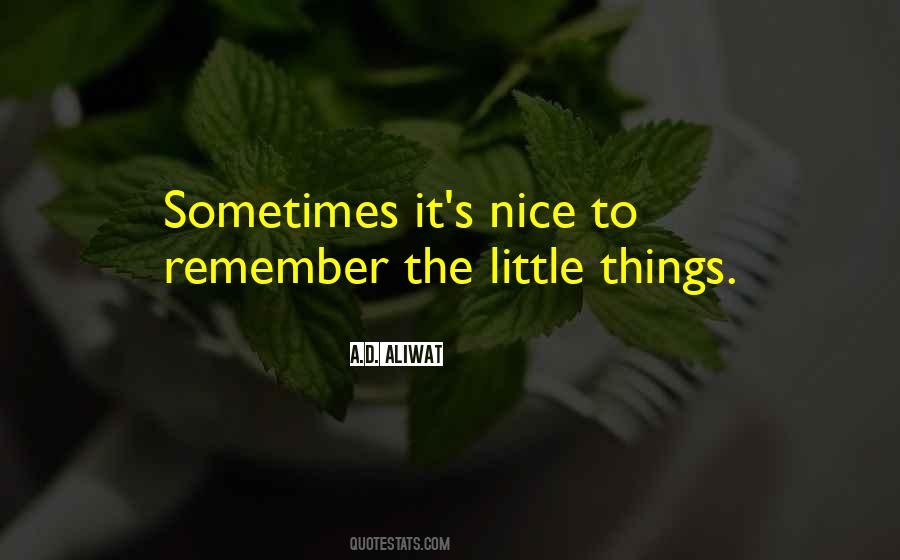Little Things Memories Quotes #814249