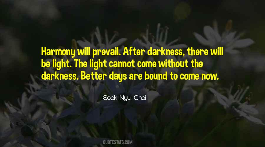 Without The Darkness Quotes #1778504