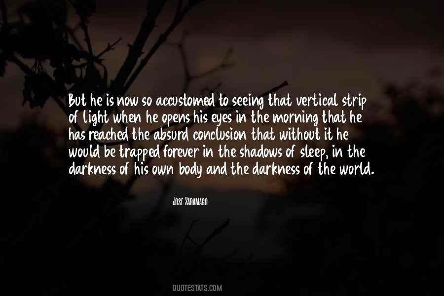 Without The Darkness Quotes #363575