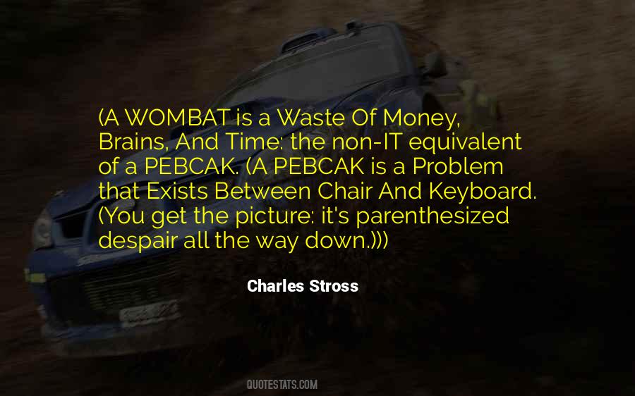 One Problem At A Time Quotes #138014