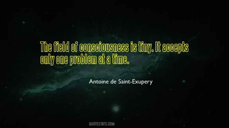 One Problem At A Time Quotes #1417032