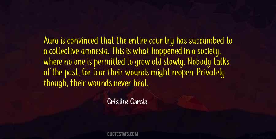 Heal The Wounds Quotes #582512