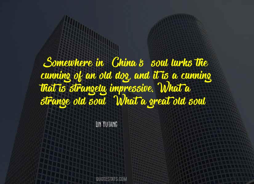 Soul Dog Quotes #85121