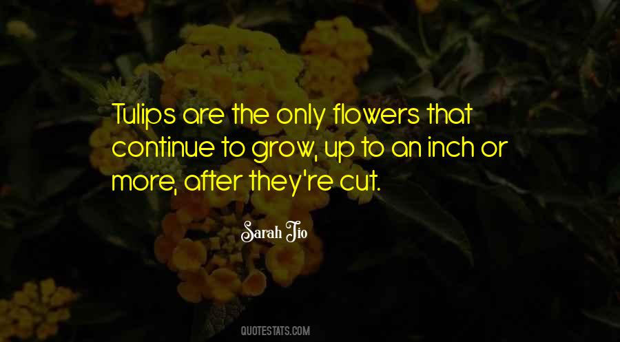 Flowers Up Quotes #1452533