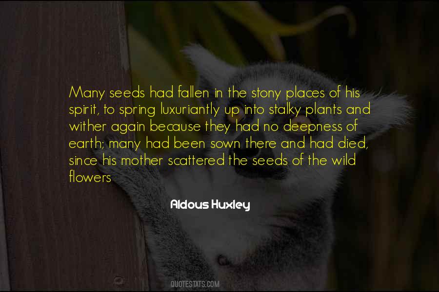 Flowers Up Quotes #1656377