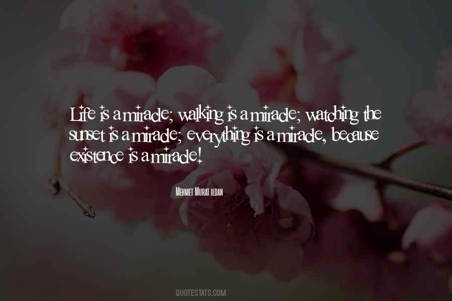 Walking Into The Sunset Quotes #698825