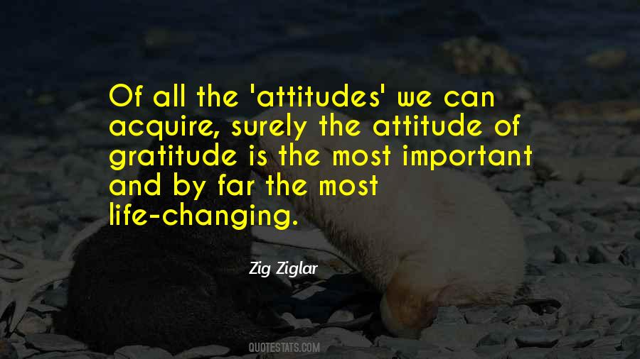 Attitude And Gratitude Quotes #163780