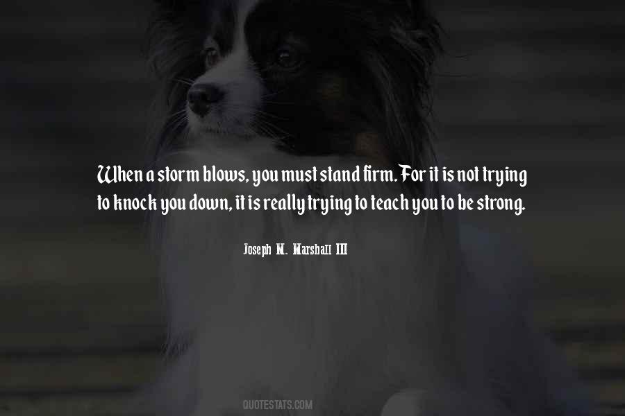You Must Be Strong Quotes #1865865