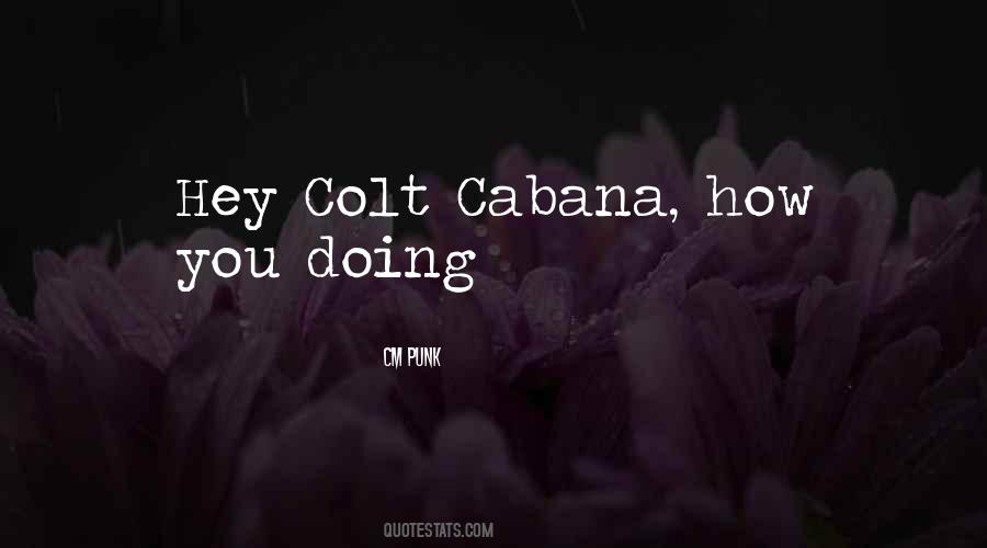 Hey How You Doing Quotes #1303280