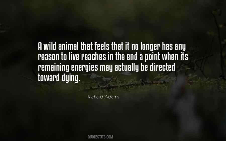 Dying Animal Quotes #1407408