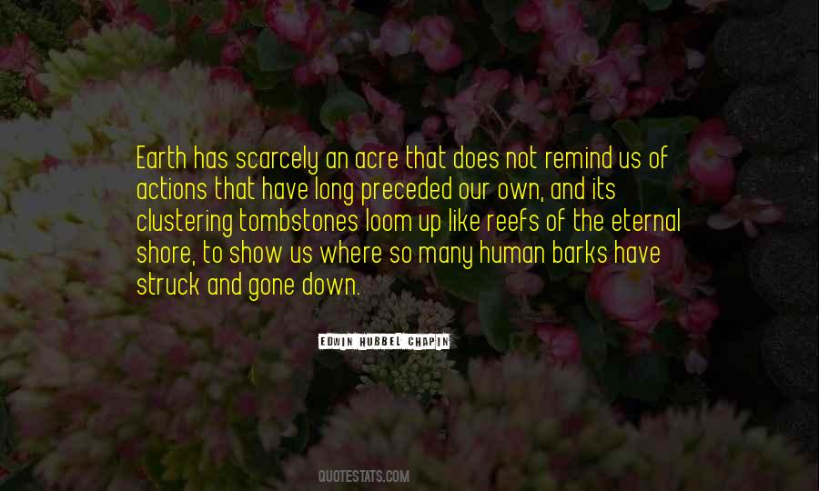 Down The Shore Quotes #1731075
