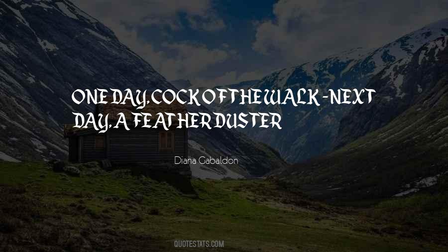 Feather Duster Quotes #859066