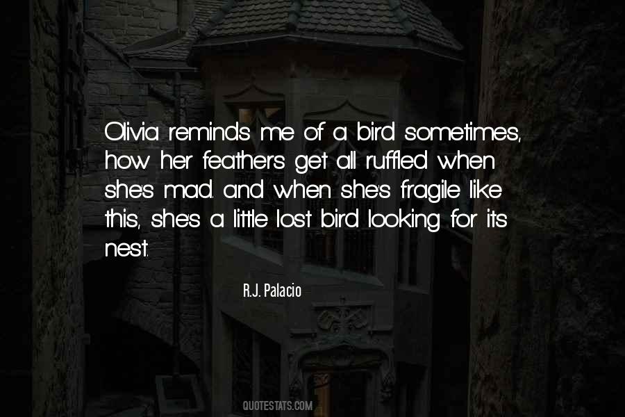 Feathers And Quotes #350433