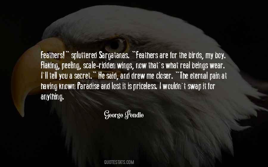 Feathers And Quotes #623429