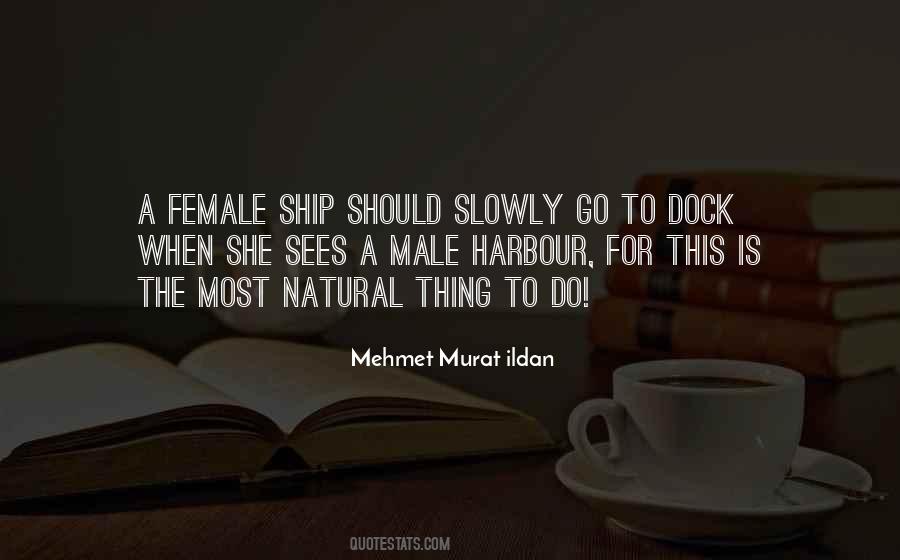 Ship In Harbour Quotes #1284851