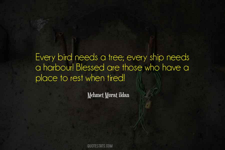 Ship In Harbour Quotes #818710