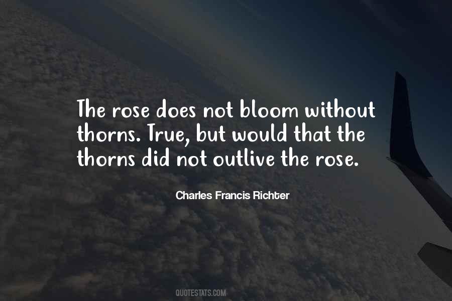 The Rose Quotes #1354490