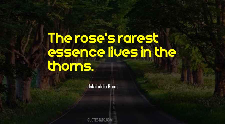 The Rose Quotes #1363193