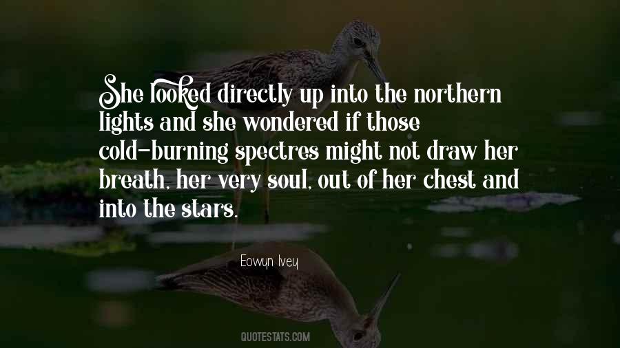 Soul Burning Quotes #124731