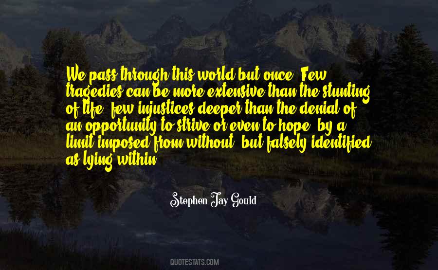 Opportunity Pass You By Quotes #1261639
