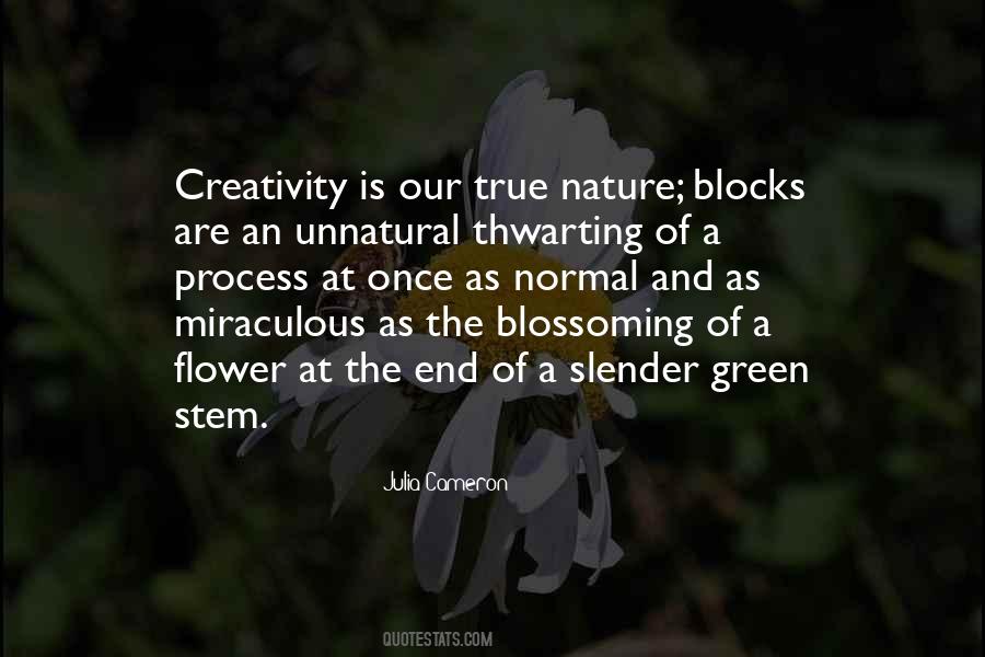 Creativity Of Nature Quotes #1202220