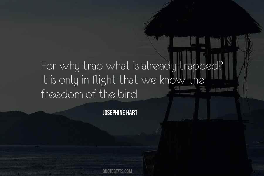 Bird Freedom Quotes #1205633