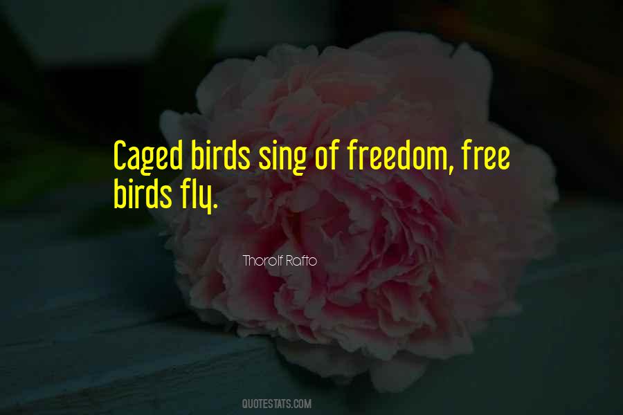 Bird Freedom Quotes #529950