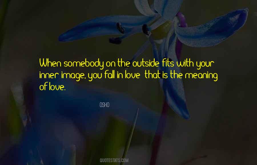 Inner Meaning Quotes #889403
