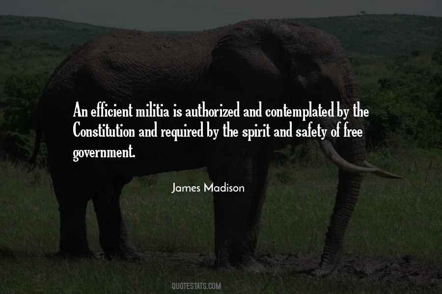 Quotes About Constitution And Government #753949