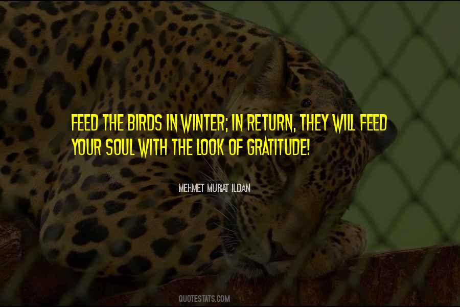 Feed The Birds Quotes #1578305